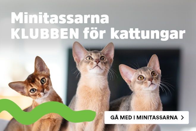 Arken Zoo Minitassarna Kattunge Gå med
