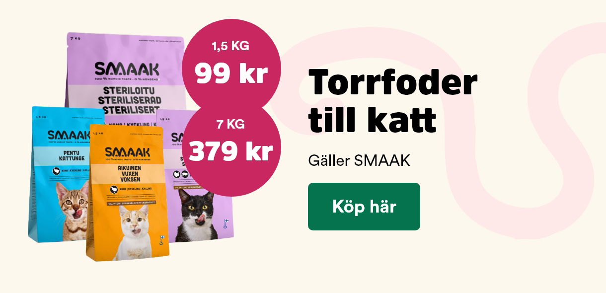 Arken Zoo Startsida K5 2025 SMAAK torrfoder till katt