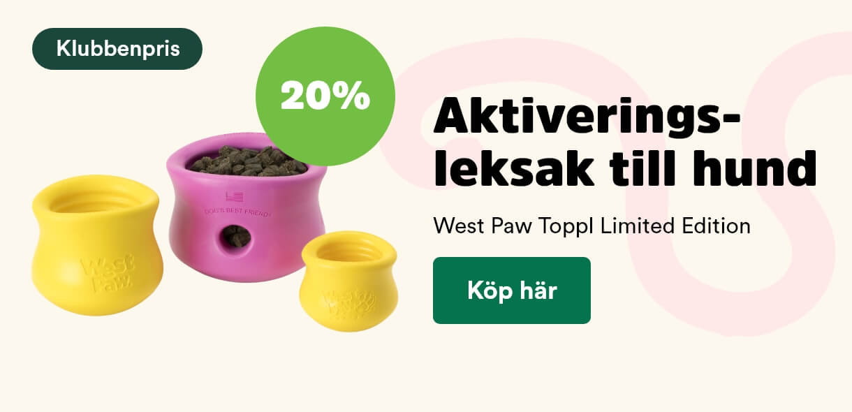 Arken Zoo Startsida Mån kundkl 6/25 West paw