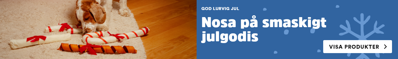 Arken Zoo julgodis till hund