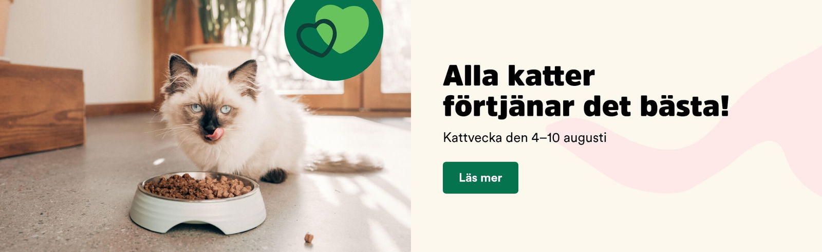 Arken Zoo Start Kattvecka 4-10 augusti 2025 Läs mer