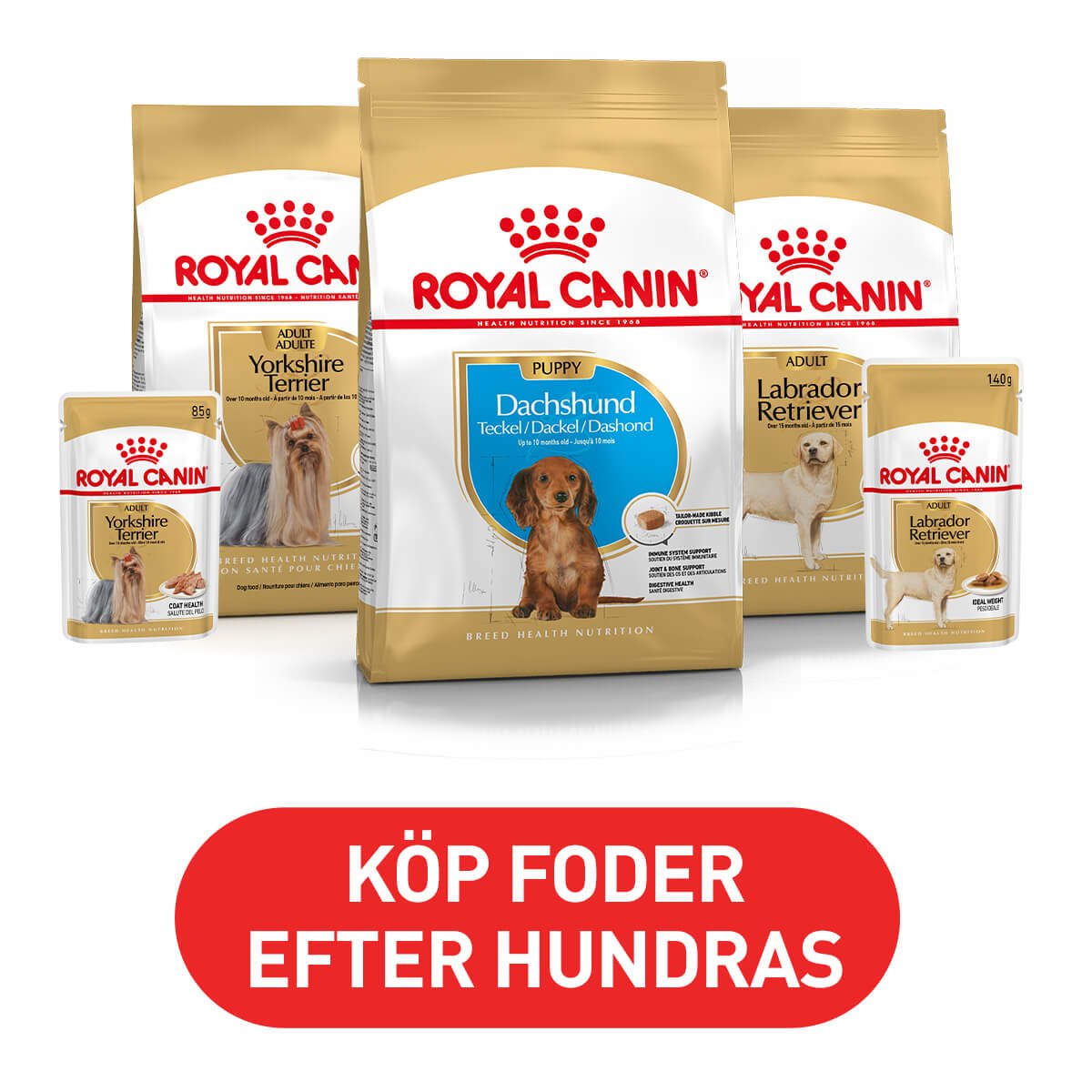 Arken Zoo Royal Canin Breed Hund