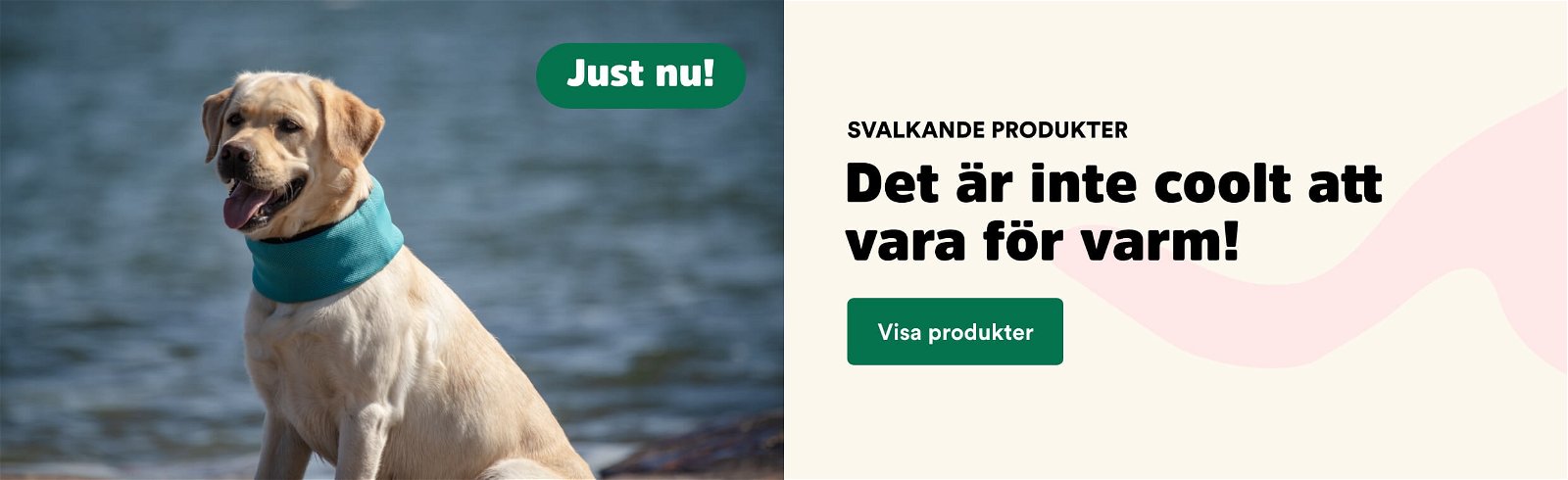 Arken Zoo Kylmattor & Kylande hundkläder