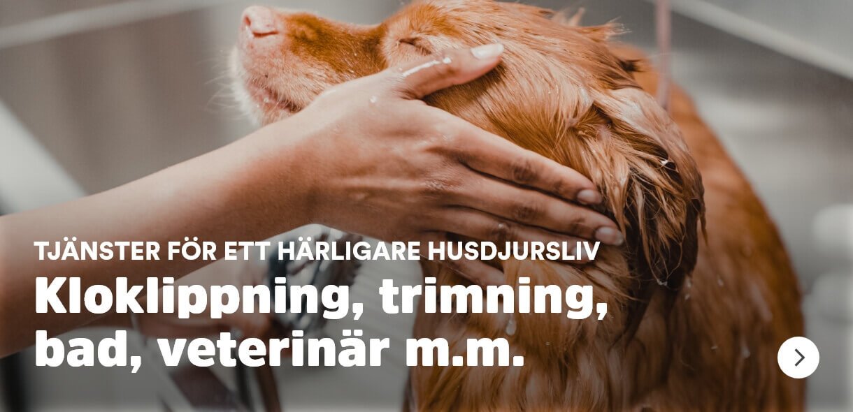 Arken Zoo Djurh&auml;lsa och Veterin&auml;r