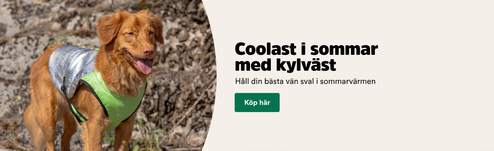 Coolast i sommar med kylv&auml;st, h&aring;ll din b&auml;sta v&auml;n sval i sommarv&auml;rmen, till kylv&auml;star och kylscarfs
