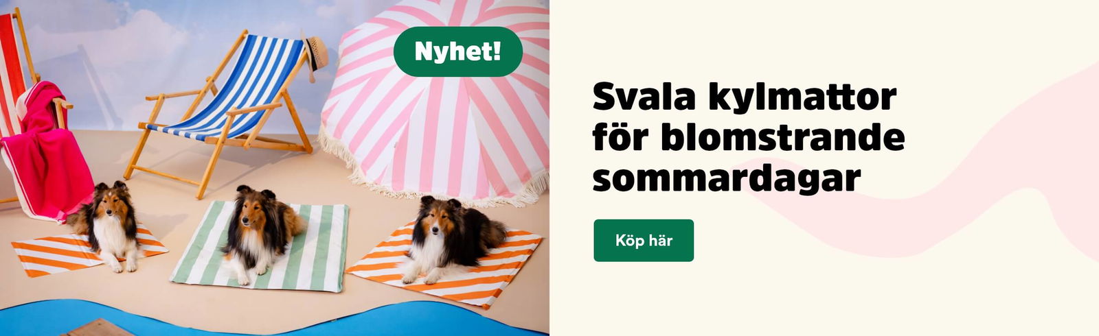 Arken Zoo Startsida Kylmattor
