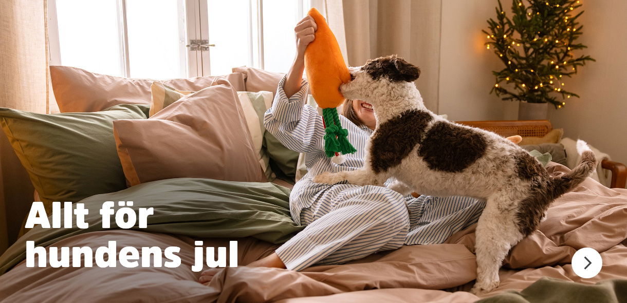 Allt för hundens jul