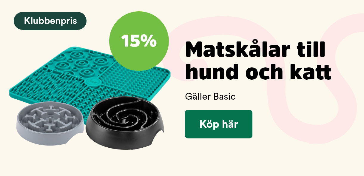 Arken Zoo Start Mån kundkl 5/25 Skålar