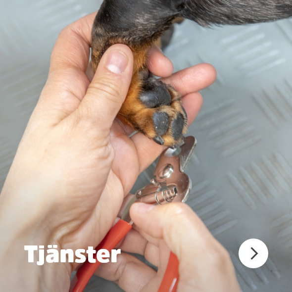 Till sidan d&auml;r du bokar Butikstj&auml;nster s&aring;som kloklipp och hundtrim