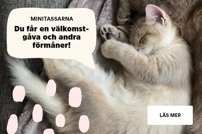 Minitassarna - Klubben för kattungar
