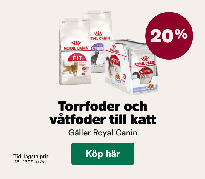 20% p&aring; Royal Canin torrfoder och v&aring;tfoder till katt t o m 29/3. K&ouml;p h&auml;r