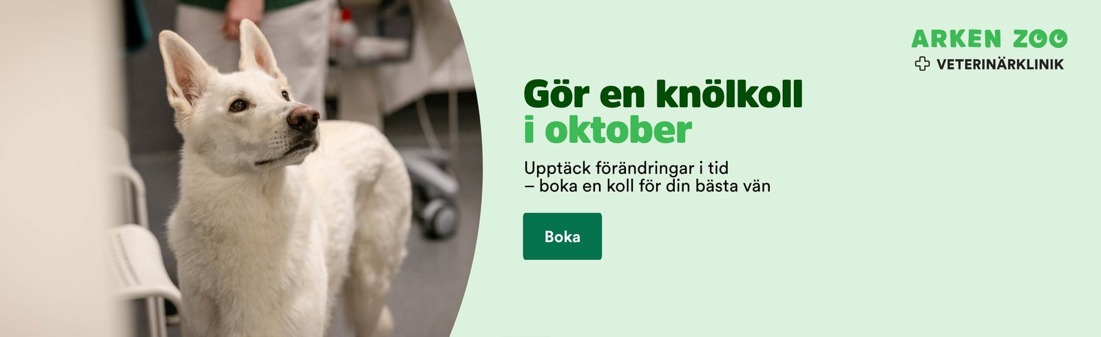 G&ouml;r en kn&ouml;lkoll i oktober! Uppt&auml;ck f&ouml;r&auml;ndringar i tid - boka en koll f&ouml;r din b&auml;sta v&auml;n h&auml;r