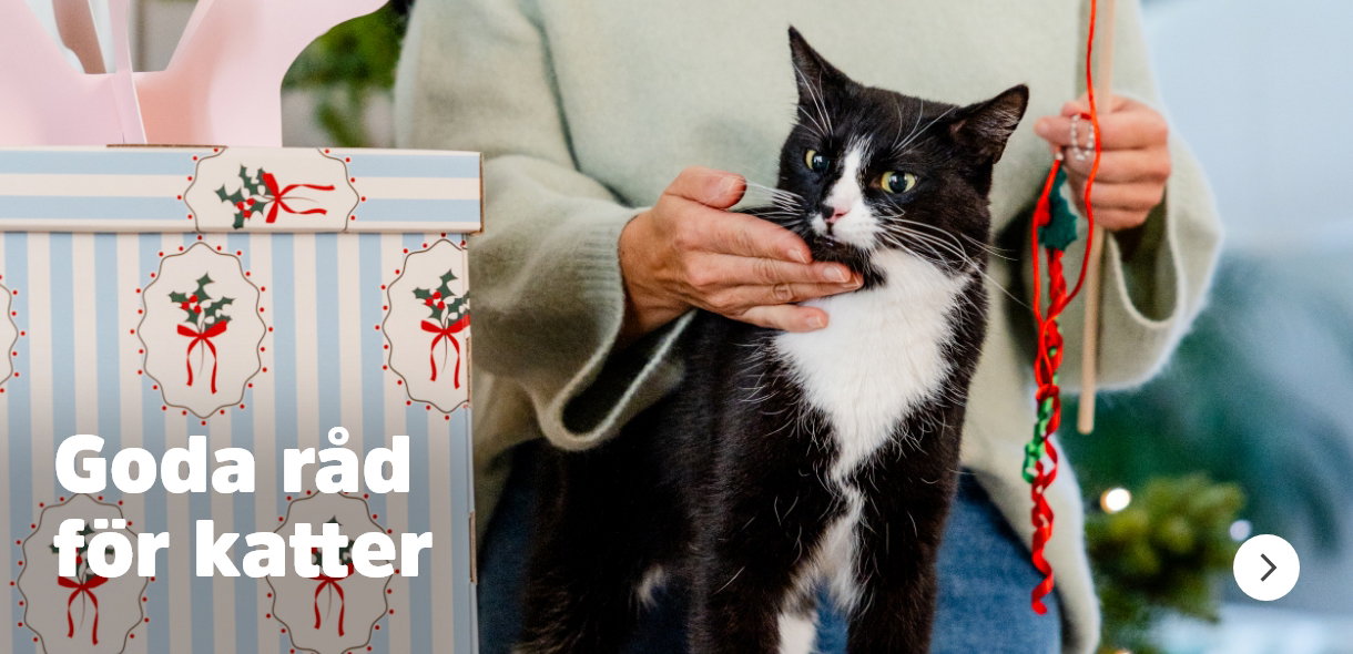 Goda r&aring;d f&ouml;r katter under vintern, l&auml;s h&auml;r