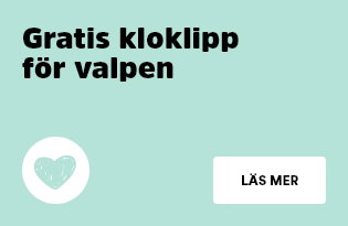 Kloklipp valp