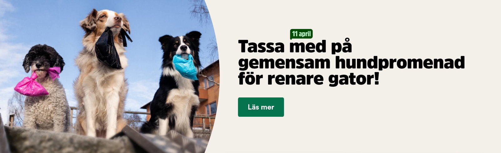 Tassa med p&aring; gemensam hundpromenad f&ouml;r renare gator 11 april - l&auml;s mer