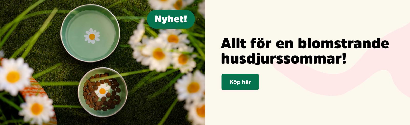 Arken Zoo Startsida Sommar