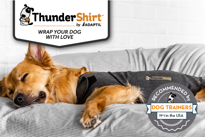 arken zoo thundershirt