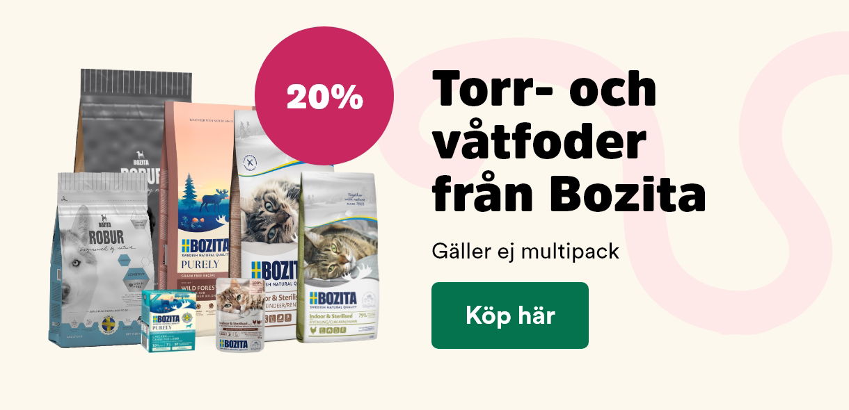 Arken Zoo Start K5 2025 Bozita