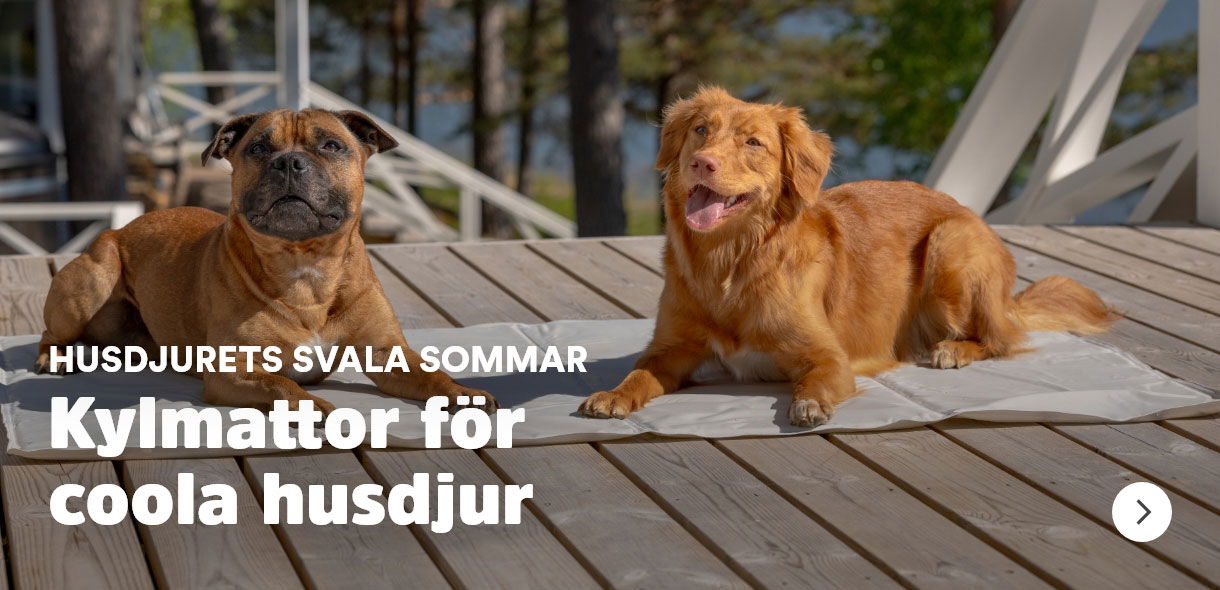 Arken Zoo Sommar Kylmatta