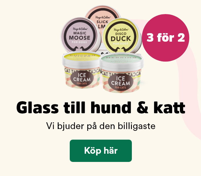 Arken Zoo Start Juli 2025 3 för 2 på Hundglass och kattglass