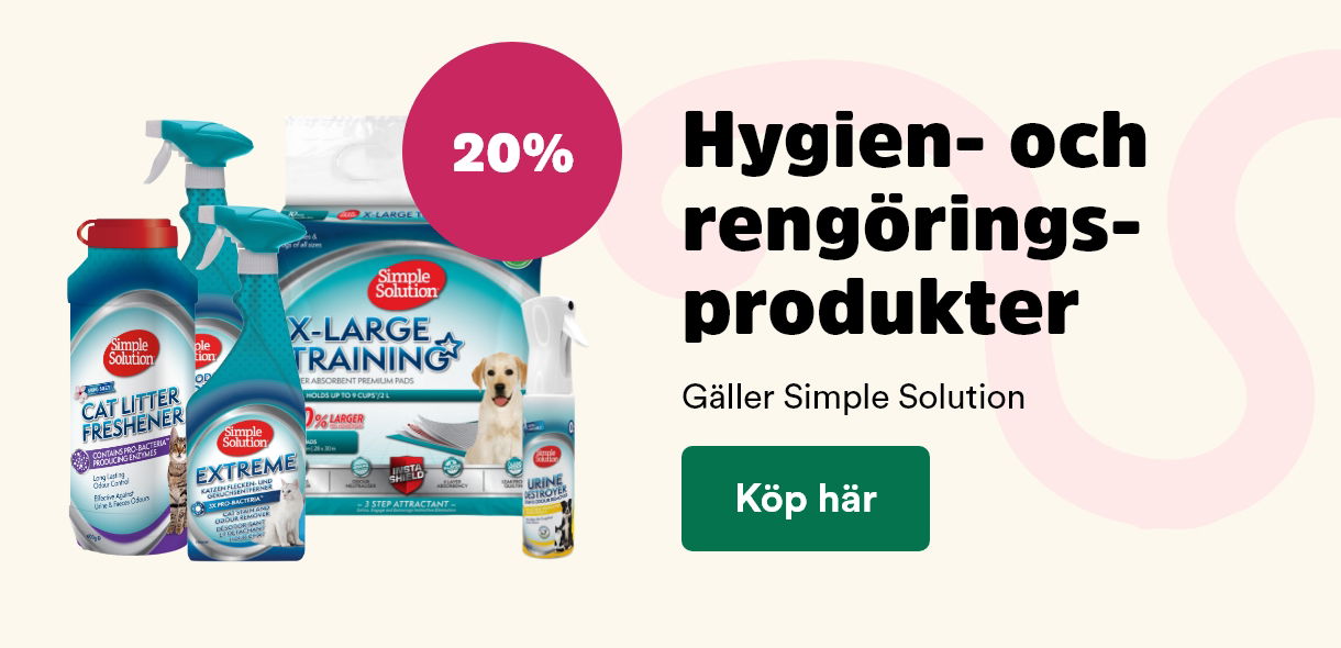 Arken Zoo Startsida K5 2025 Simple solution