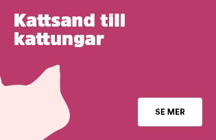 Kattsand kattungar