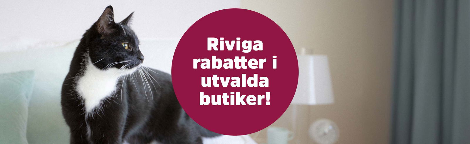 Bild p&aring; svart-vit katt som st&aring;r p&aring; en s&auml;ng, samt texten Riviga rabatter i utvalda butiker till h&ouml;ger.