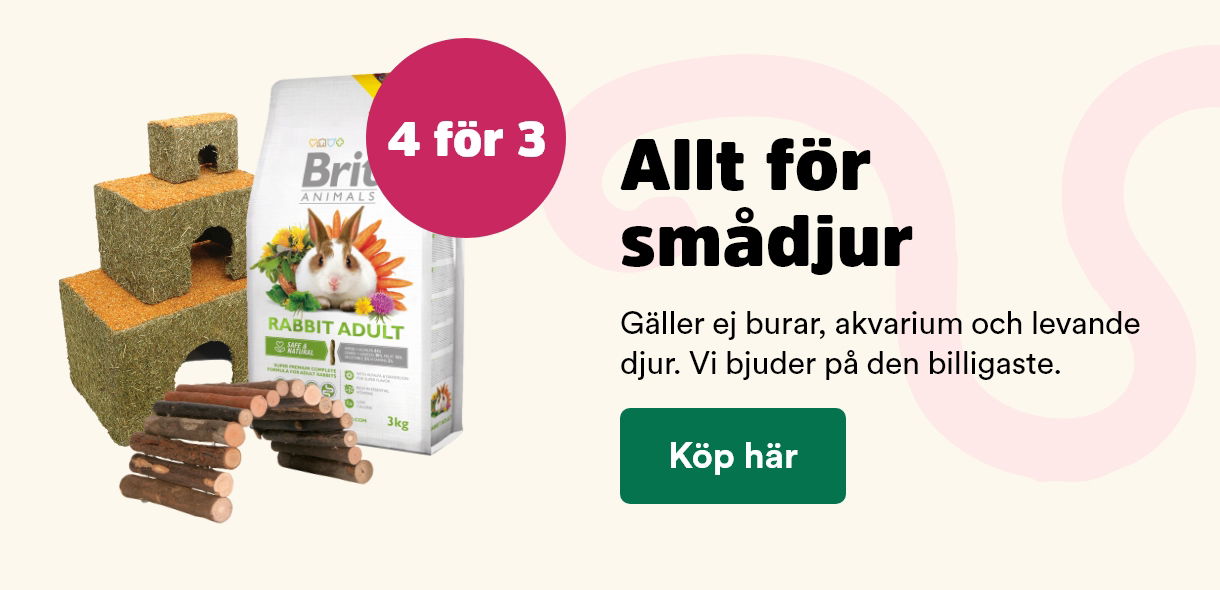 Arken Zoo Startsida K5 2025 Allt för smådjur