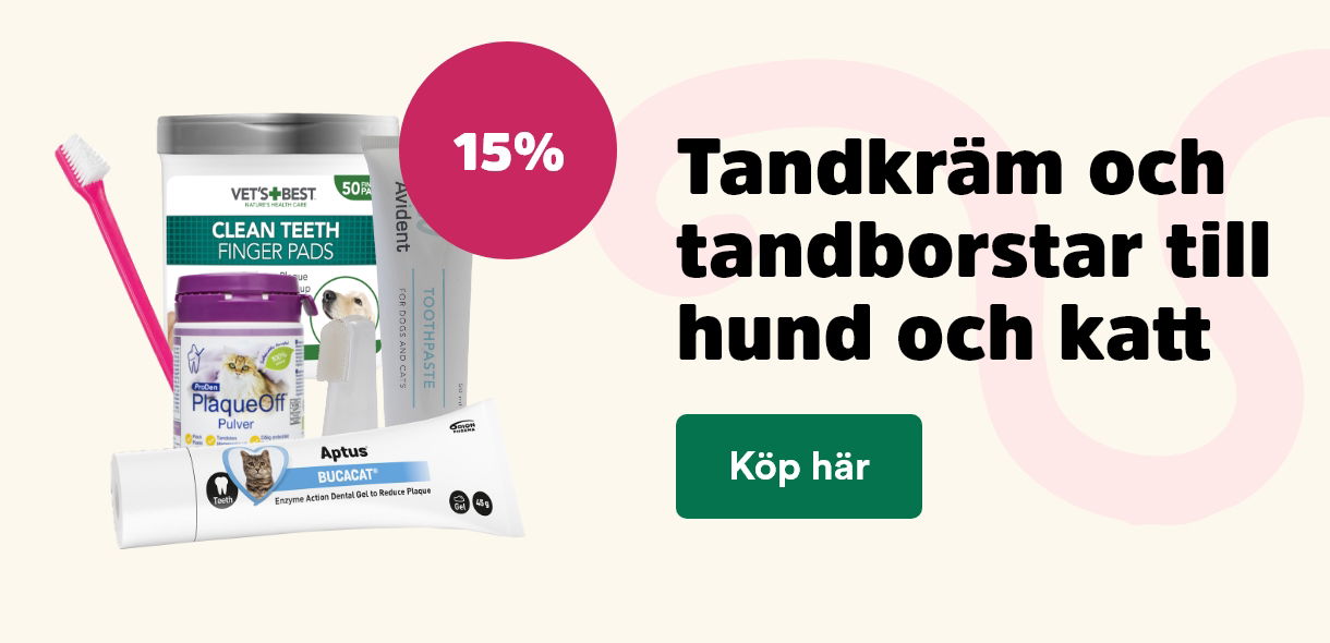 Arken Zoo Startsida K5 2025 Tandvård