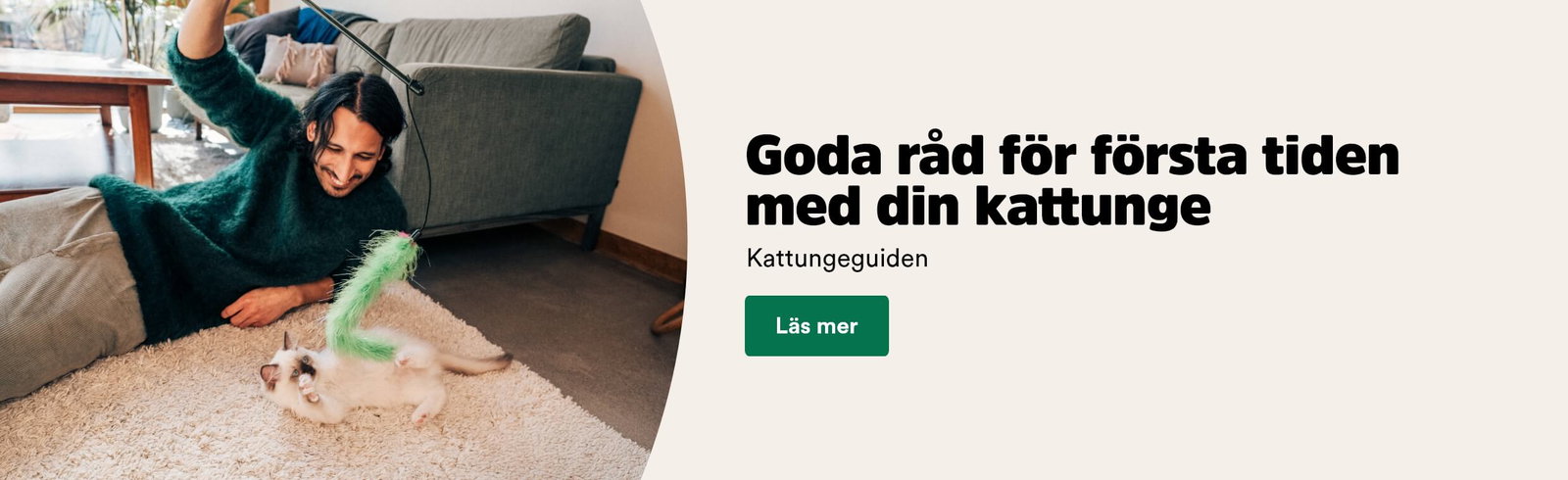 Goda r&aring;d f&ouml;r f&ouml;rsta tiden med din kattunge