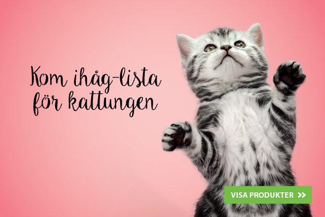 Kom-ih&aring;g-lista f&ouml;r kattungen