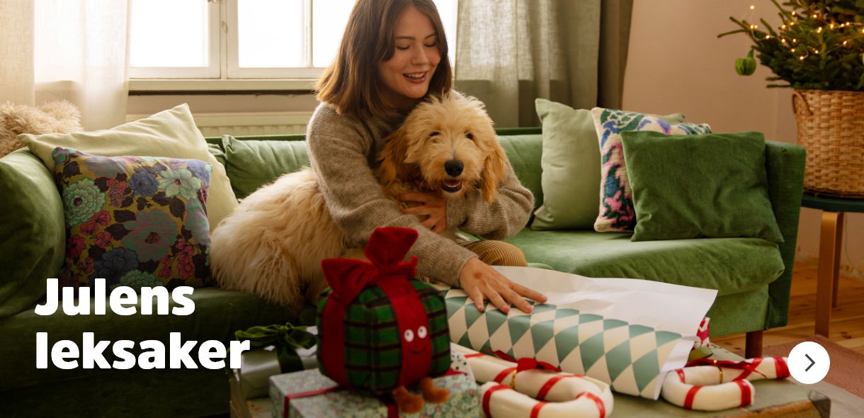 Julens leksaker till hund