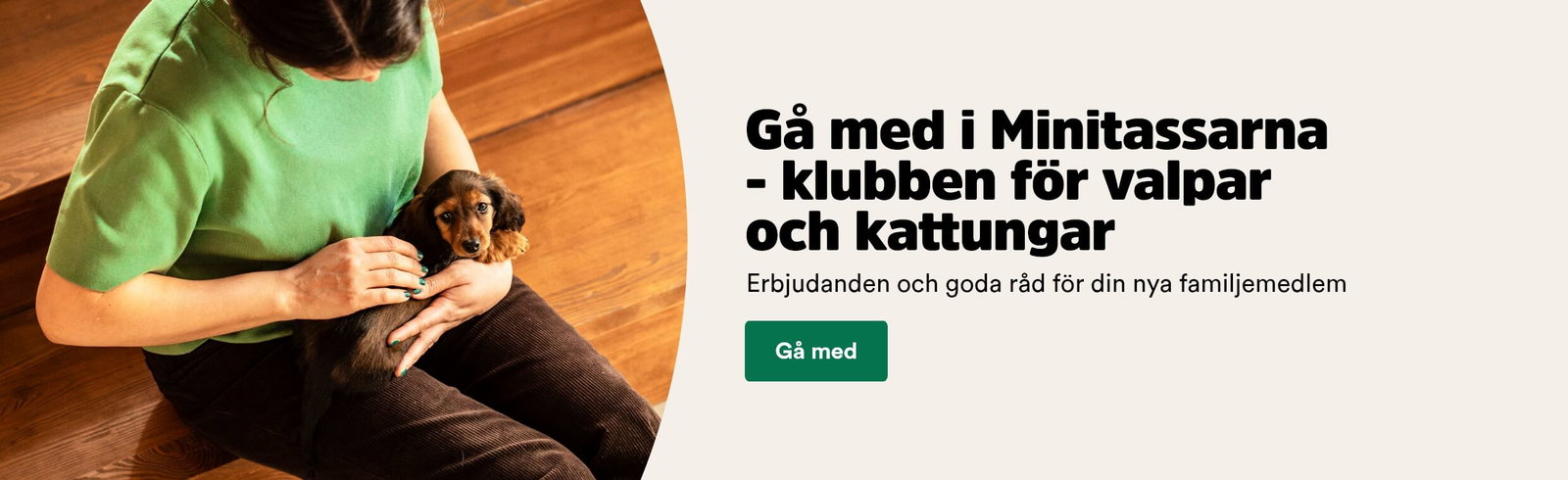 G&aring; med i Minitassarna, klubben f&ouml;r valpar och kattungar