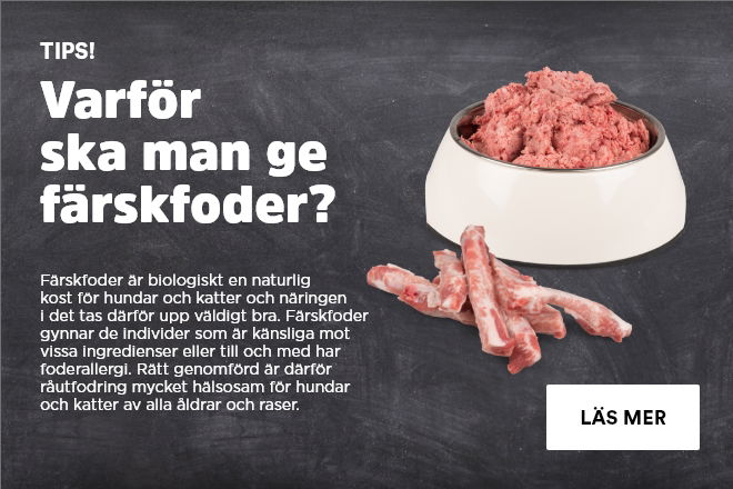 F&auml;rskfoderutfodring