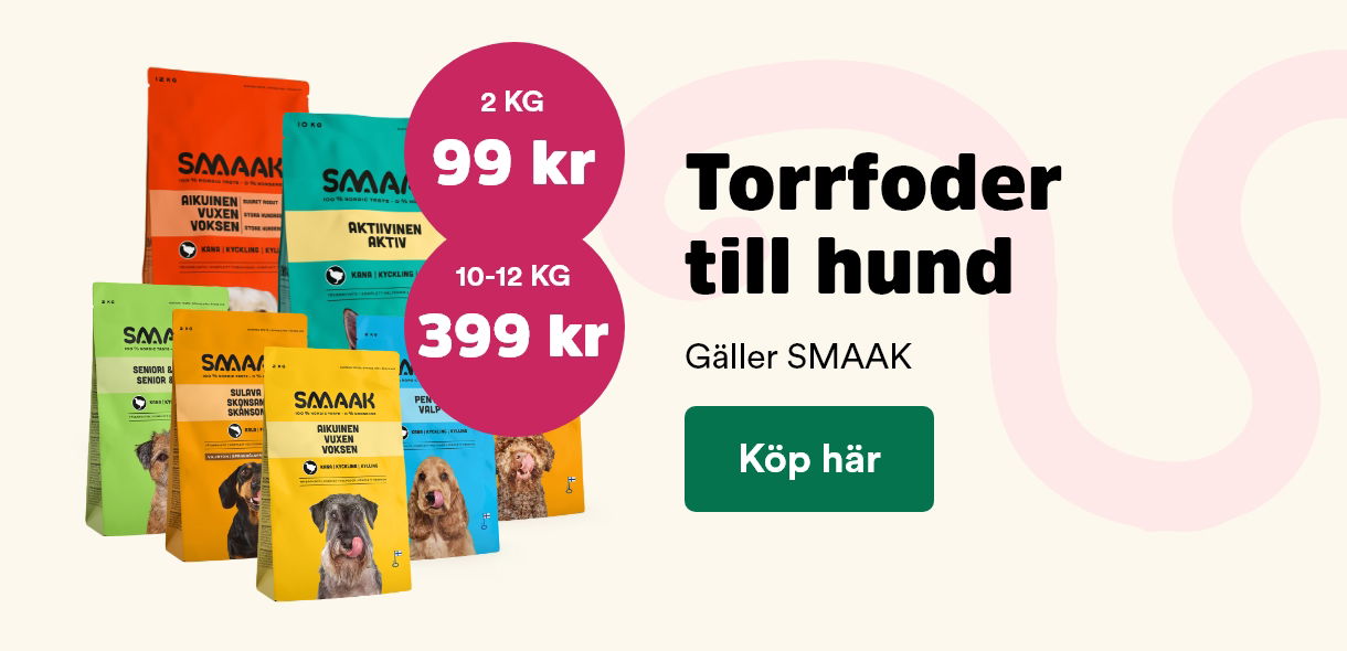Arken Zoo Startsida K5 2025 SMAAK torrfoder till hund