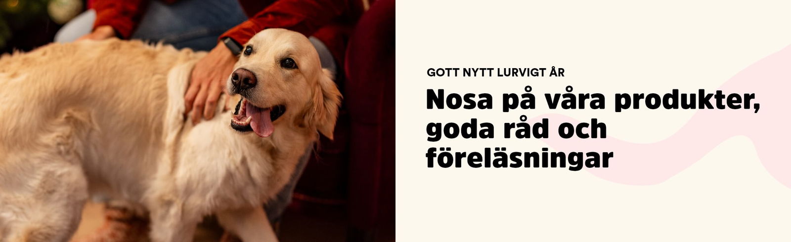 Arken Zoo Gott nytt år toppbanner desktop