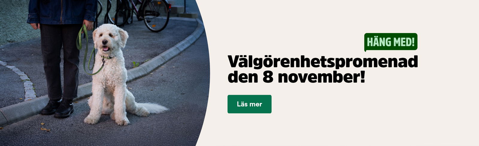 Välgörenhetspromenad den 8 november Läs mer