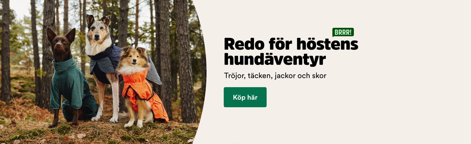 Redo f&ouml;r h&ouml;stens hund&auml;ventyr med tr&ouml;jor, t&auml;cken, jackor och skor - visa produkter