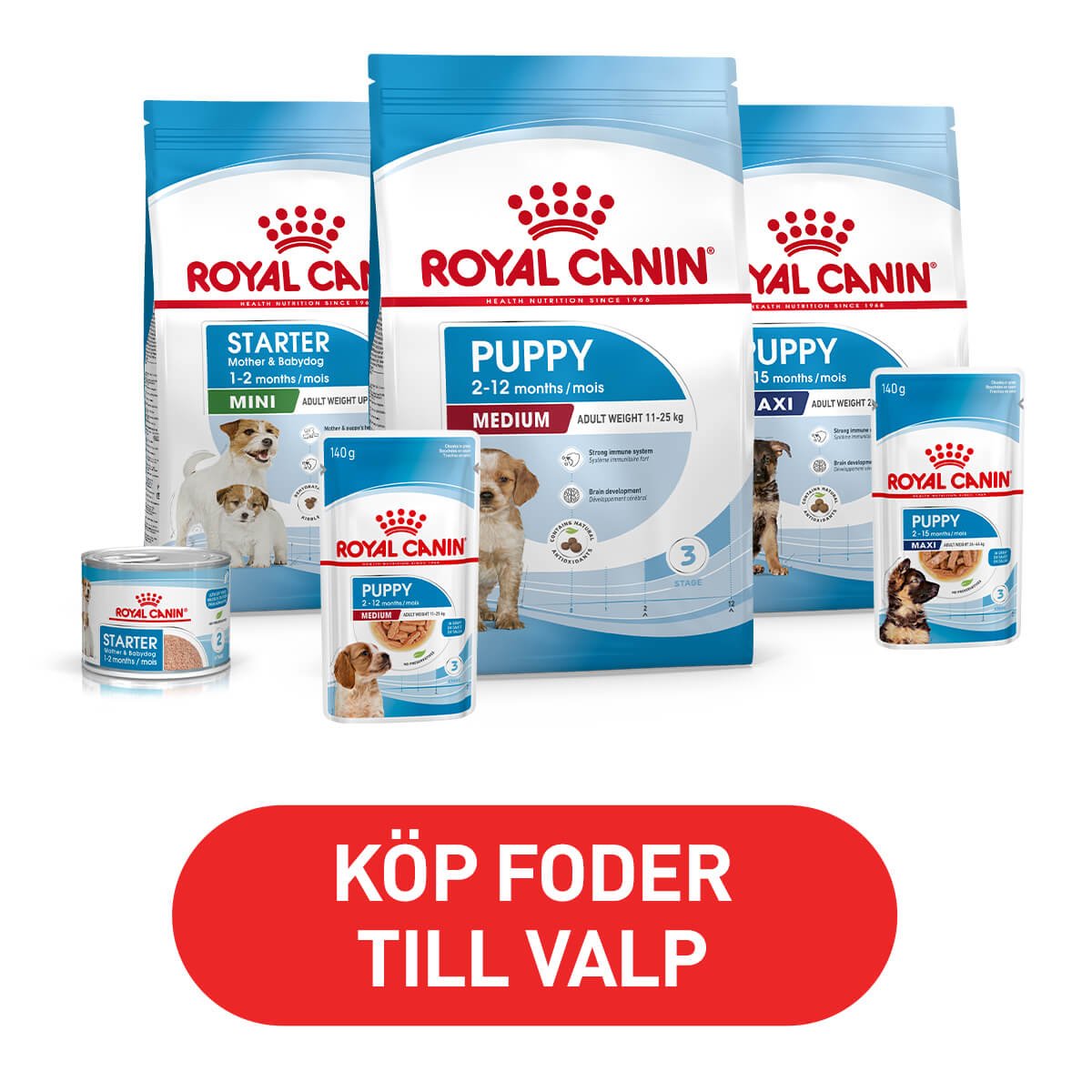 Arken Zoo Royal Canin Valp