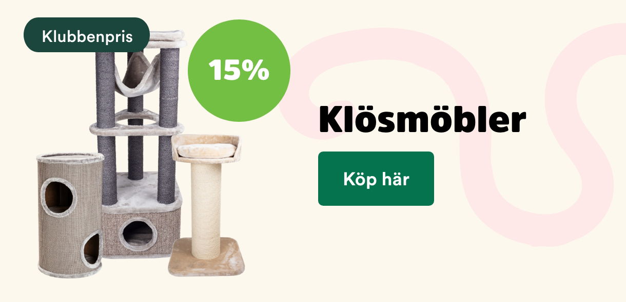 Arken Zoo Startsida Augusti 2025 Klubben: 15% på klösmöbler