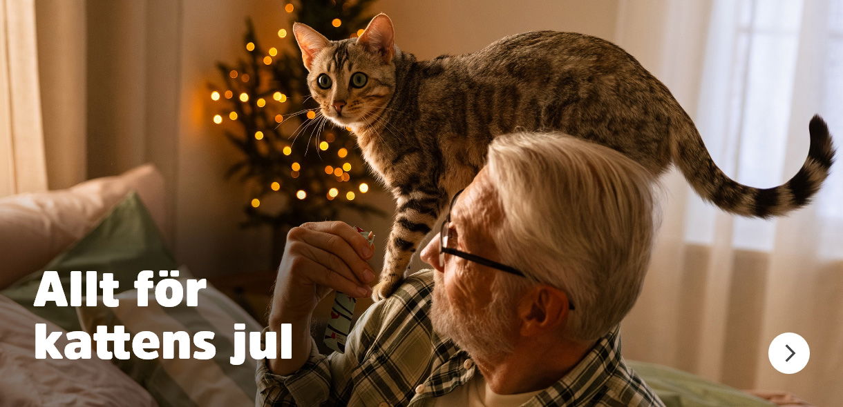 Allt för kattens jul