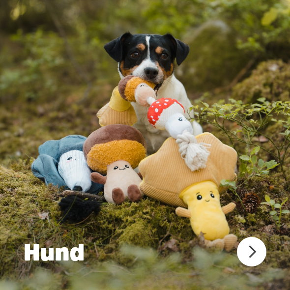 Till Kategorin Hund