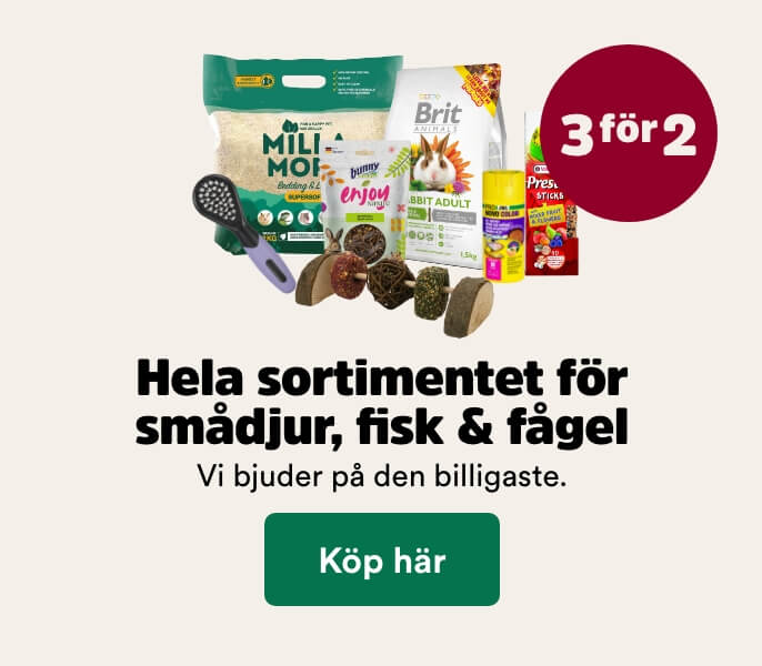 3 f&ouml;r 2 p&aring; hela sortimentet till sm&aring;djur t o m 30/8 - k&ouml;p h&auml;r