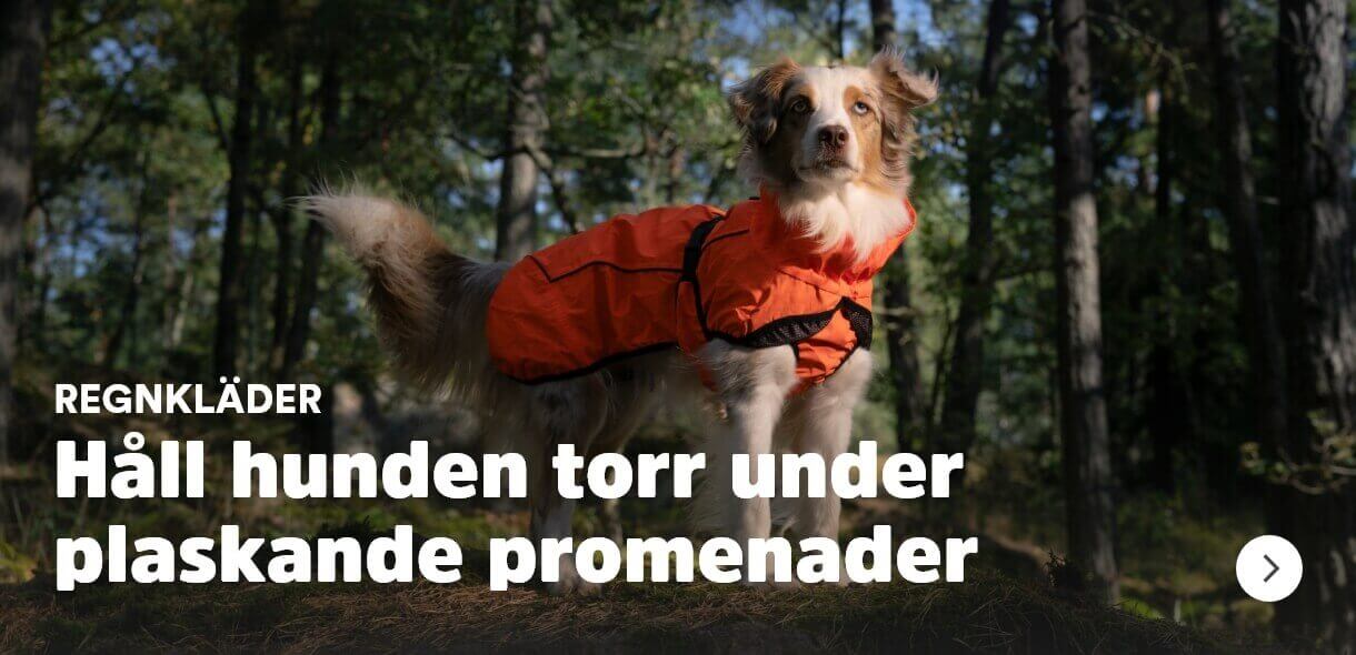 Regnkläder till hund. Håll hunden torr under plaskande promenader. Köp här. Visas på Arken Zoo Valp