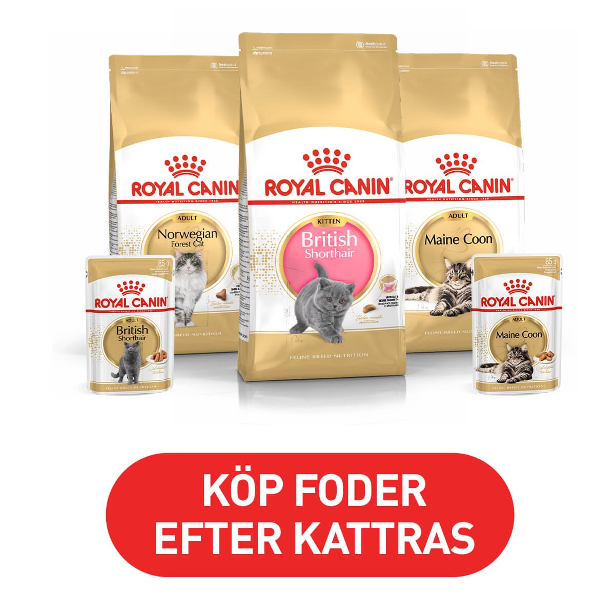 Arken Zoo Royal Canin Breed Katt