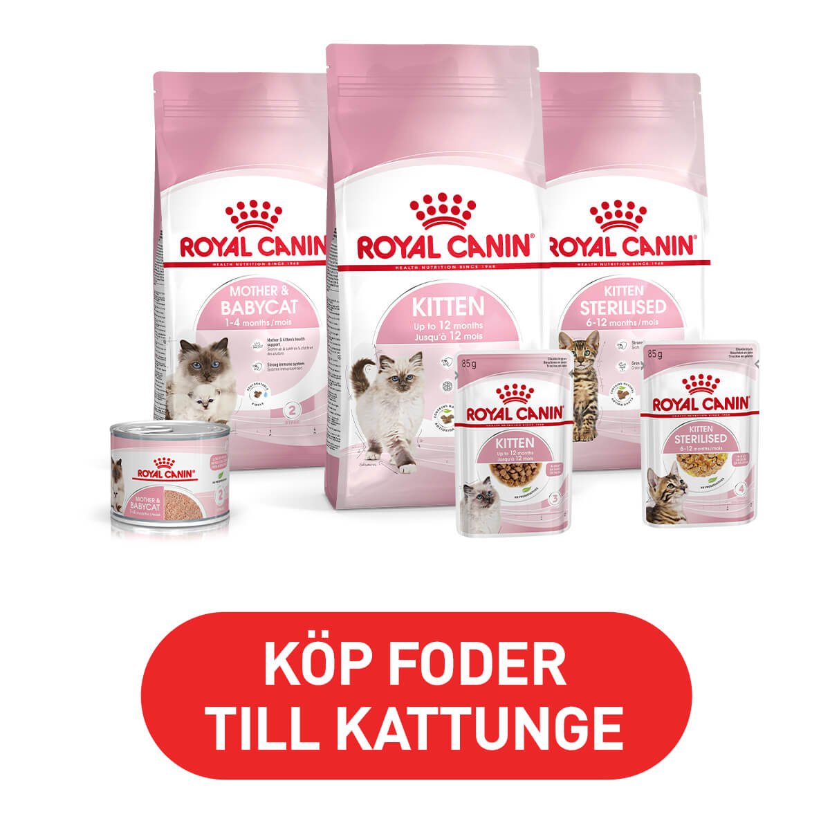 Arken Zoo Royal Canin Kattunge