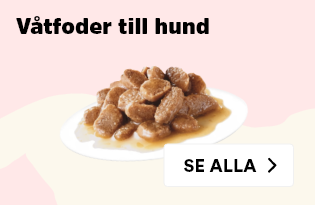 d0/aa71afc9bcbda3615471bc2b83957e.png