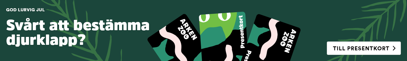 Arken Zoo Presentkort