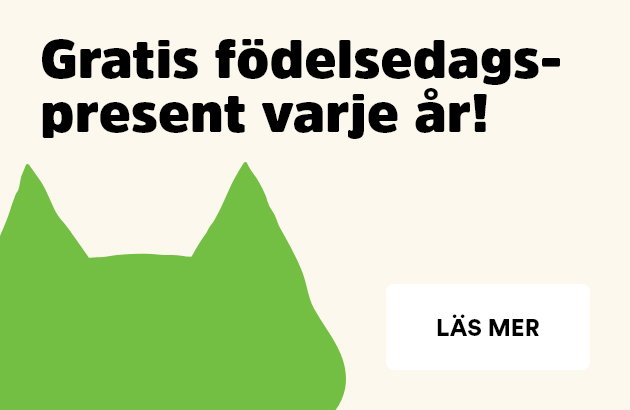 Gratis f&ouml;delsedagspresent till kattunge