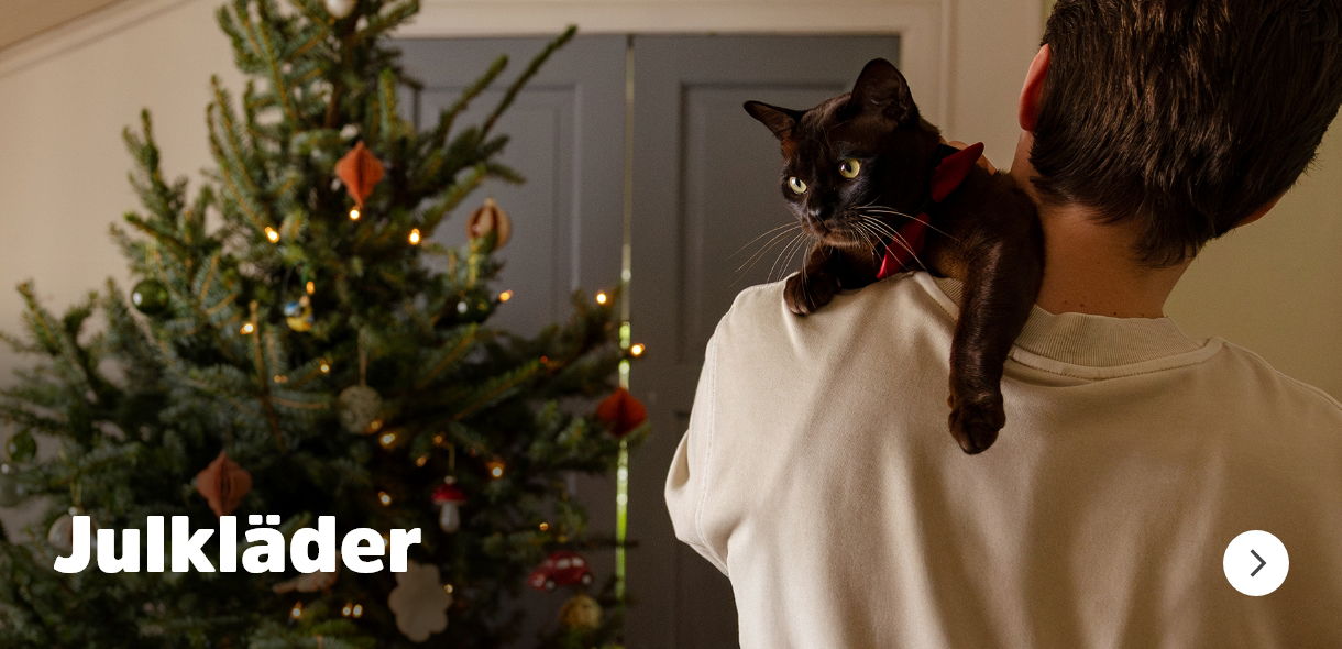 Julkläder